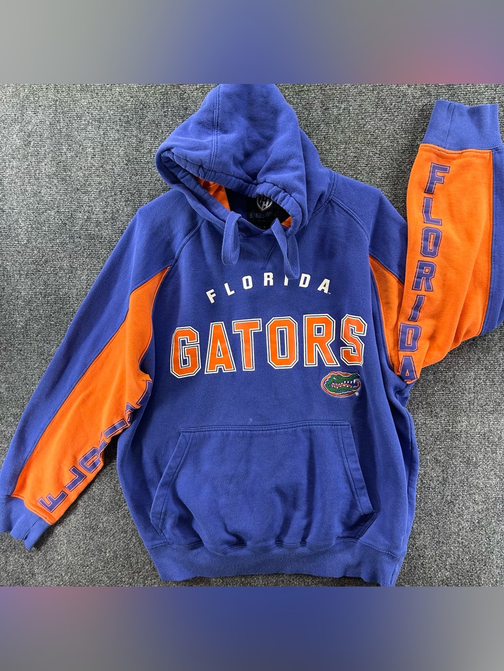 Florida Gators Hoodie Sweatshirt Mens XL Blue Pullover Spellout Sleeves NCAA Y2K